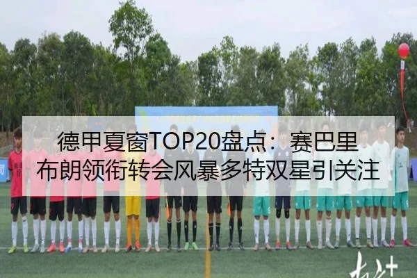 德甲夏窗TOP20盘点:赛巴里布朗领衔转会风暴多特双星引关注